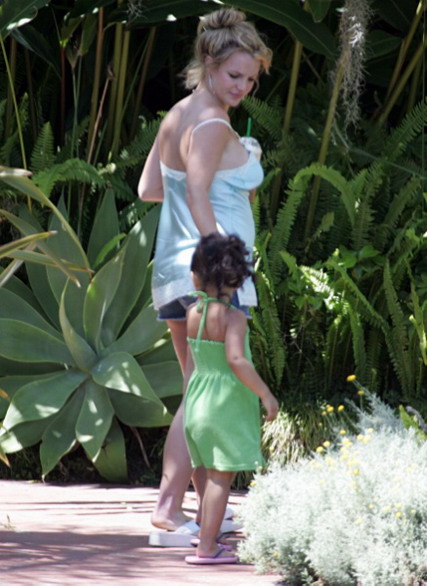 รูปภาพคอมเมนต์