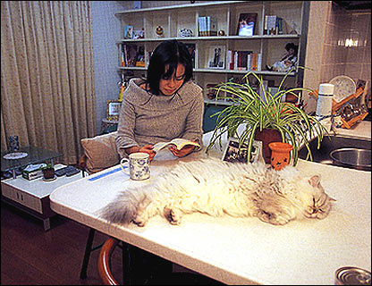 รูปภาพคอมเมนต์