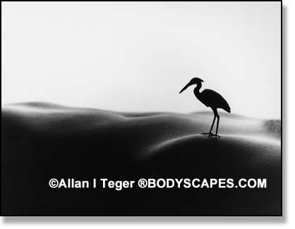 รูปภาพคอมเมนต์