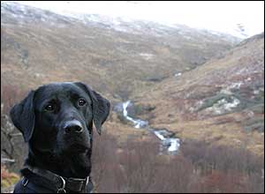 รูปภาพคอมเมนต์