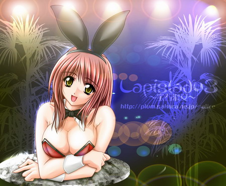 รูปภาพคอมเมนต์