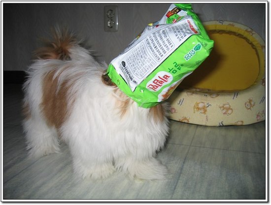 รูปภาพคอมเมนต์