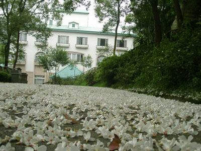 รูปภาพคอมเมนต์