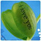 รูปภาพคอมเมนต์