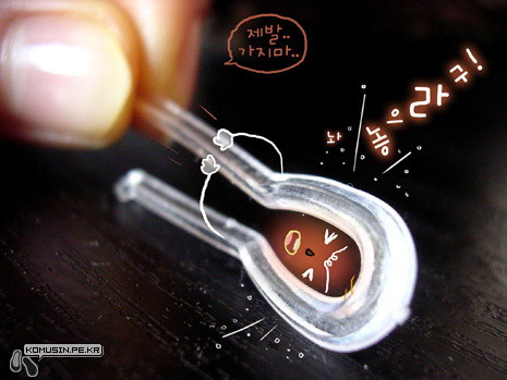 รูปภาพคอมเมนต์