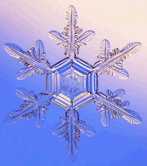 รูปภาพคอมเมนต์