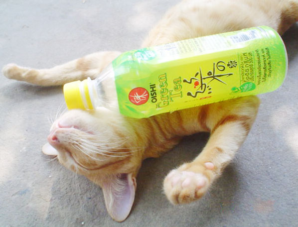 ดีใจเปิดฝาขวดโออิชิได้1ล้าน!