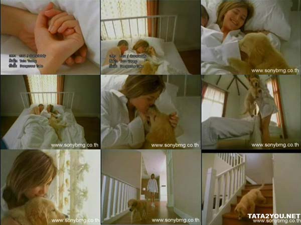 รูปภาพคอมเมนต์