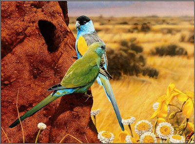 รูปภาพคอมเมนต์