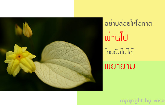 รูปภาพคอมเมนต์