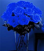 รูปภาพคอมเมนต์