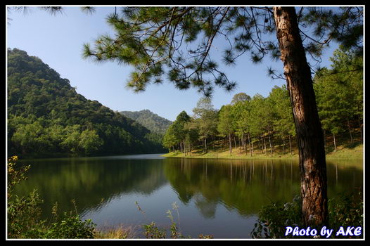 รูปภาพคอมเมนต์