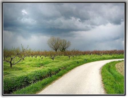 รูปภาพคอมเมนต์