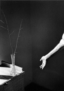 รูปภาพคอมเมนต์