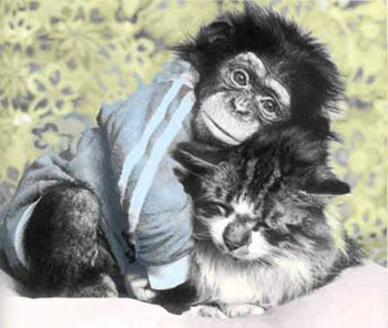 *- เพราะเราคู่กัน -*