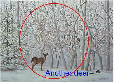 รูปภาพคอมเมนต์