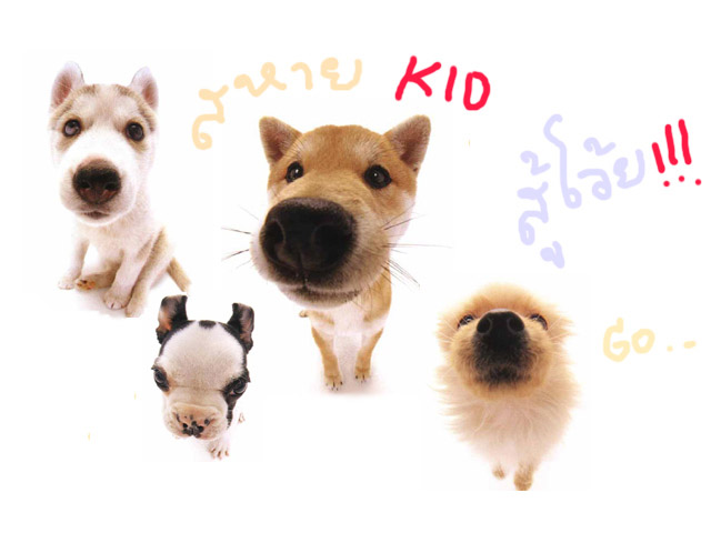 รูปภาพคอมเมนต์