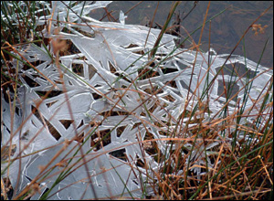 รูปภาพคอมเมนต์