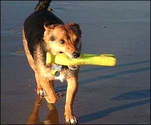 รูปภาพคอมเมนต์