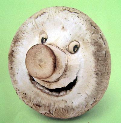 รูปภาพคอมเมนต์