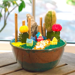 *- cuTE pLANtsss ......... Have a look! -*