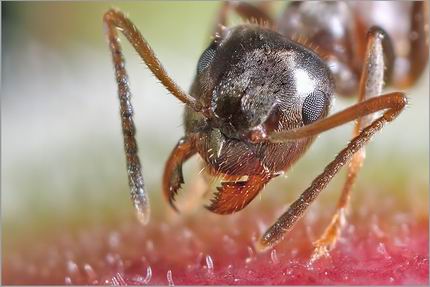 รูปภาพคอมเมนต์