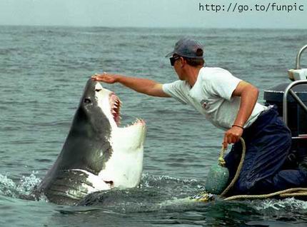 สัตว์โลกน่ารัก