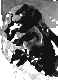 รูปภาพคอมเมนต์