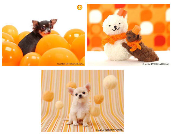 น่ารักมากค่ะ