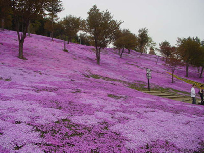 รูปภาพคอมเมนต์