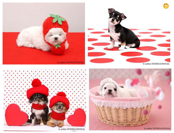 รูปภาพคอมเมนต์