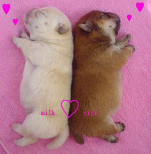 รูปภาพคอมเมนต์