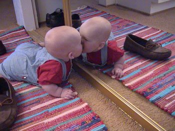 รูปภาพคอมเมนต์