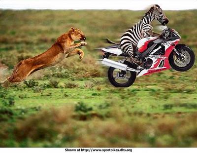 เอารูปฮาๆ  มาให้ดู