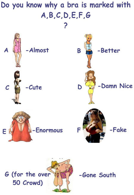 เรื่องของไซส์ชุดชั้นใน