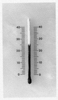 รูปภาพคอมเมนต์