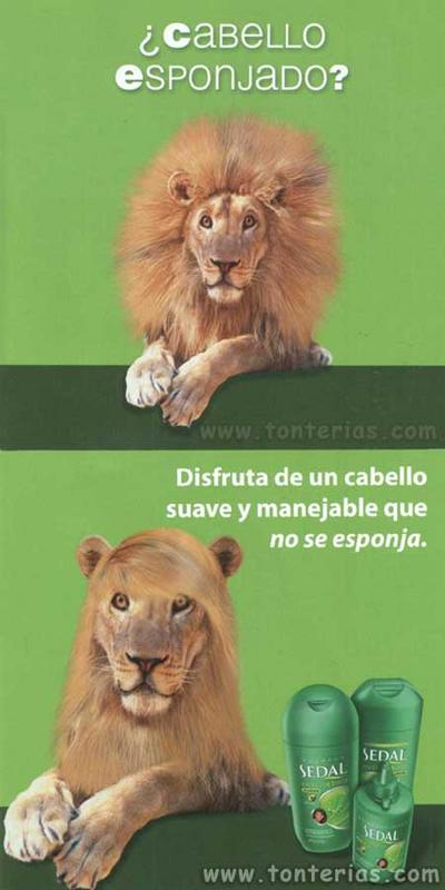 รูปภาพคอมเมนต์