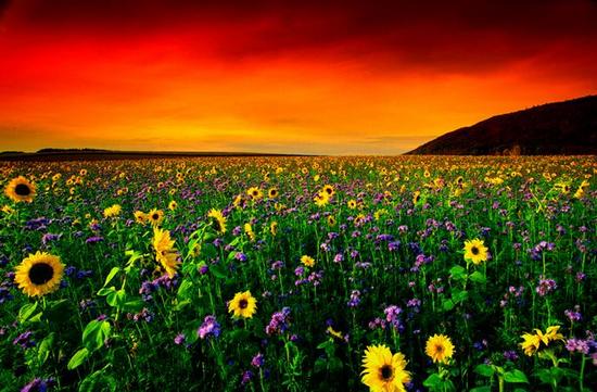 รูปภาพคอมเมนต์