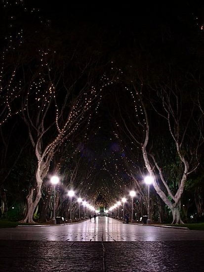 รูปภาพคอมเมนต์