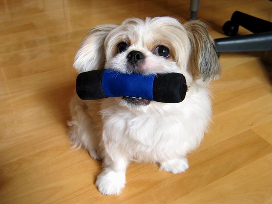 รูปภาพคอมเมนต์