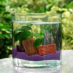 รูปภาพคอมเมนต์