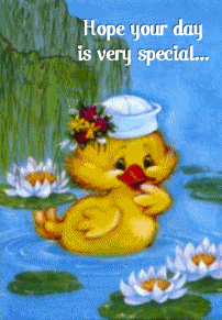 รูปภาพคอมเมนต์