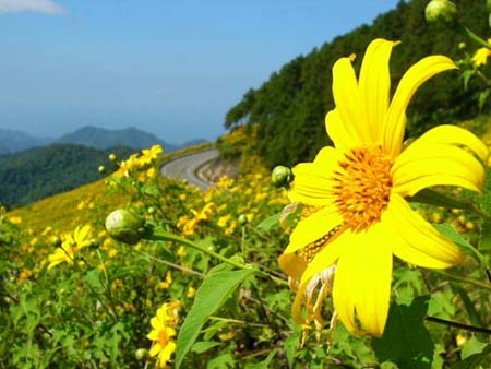 รูปภาพคอมเมนต์