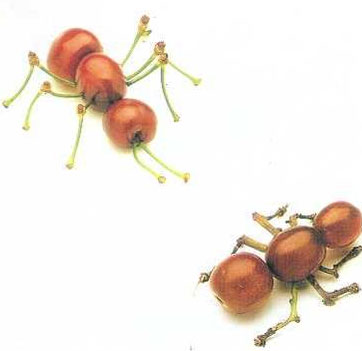 ผักกับสัตว์ ไอเดียดีจริงๆ