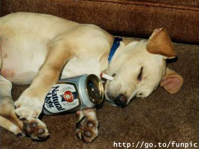 รูปภาพคอมเมนต์