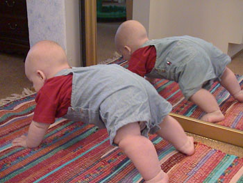 รูปภาพคอมเมนต์