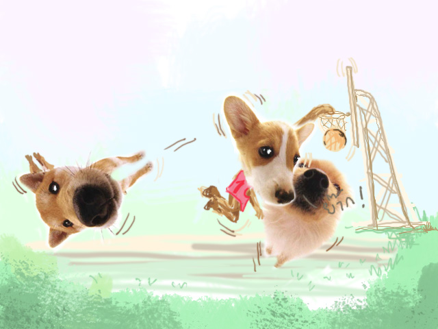 รูปภาพคอมเมนต์