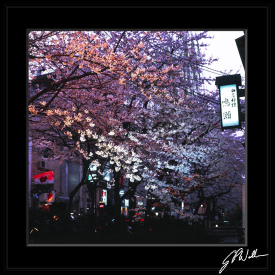 รูปภาพคอมเมนต์