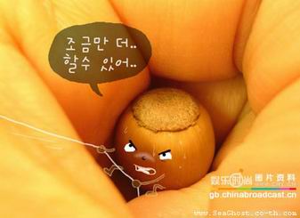 รูปภาพคอมเมนต์