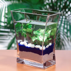 รูปภาพคอมเมนต์